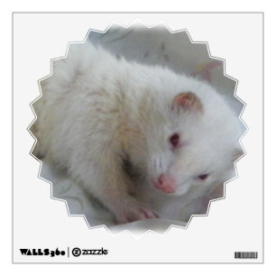 White Albino Ferret Picture Wall Sticker