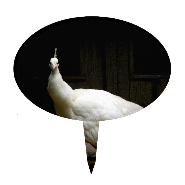 White Albino Peacock Cake Topper (Front)