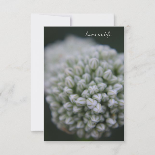 White Allium Note Card (Front)