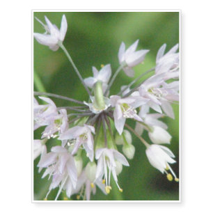 White Allium Temporary Tattoos