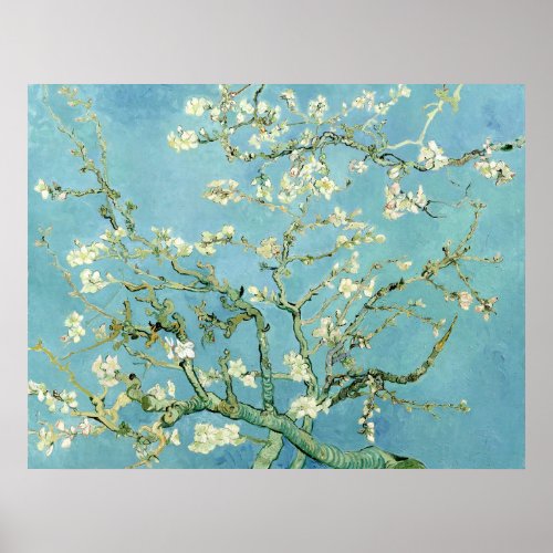 White almond blossom by Vincent Van Gogh Poster