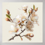 White Almond Blossoms Flower Art Print Poster