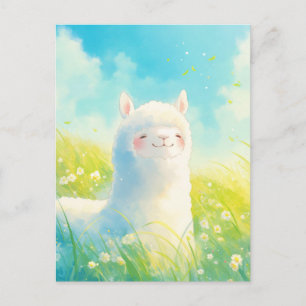 White Alpaca in Sunny Wildflower Meadow Postcard