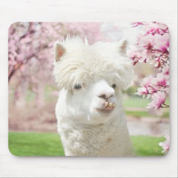White Alpaca Mouse Pad by deemac1 at Zazzle
