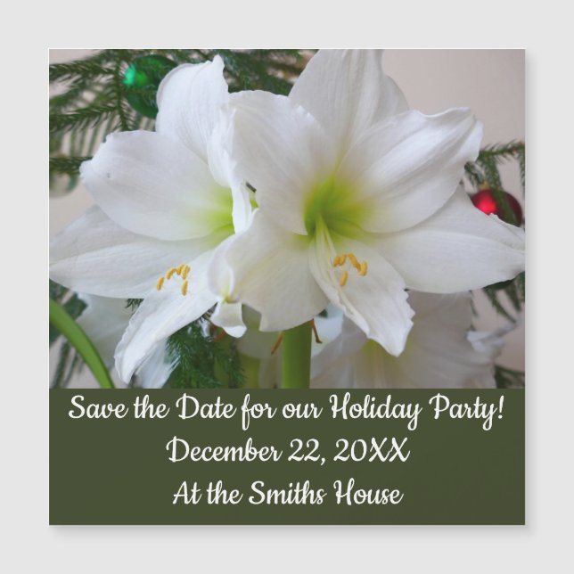 White Amaryllis and Christmas Tree (Front)