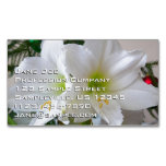 White Amaryllis and Christmas Tree Business Card Magnet