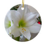 White Amaryllis and Christmas Tree Ceramic Ornament