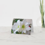 White Amaryllis and Christmas Tree Holiday Card