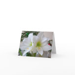 White Amaryllis and Christmas Tree Holiday Card
