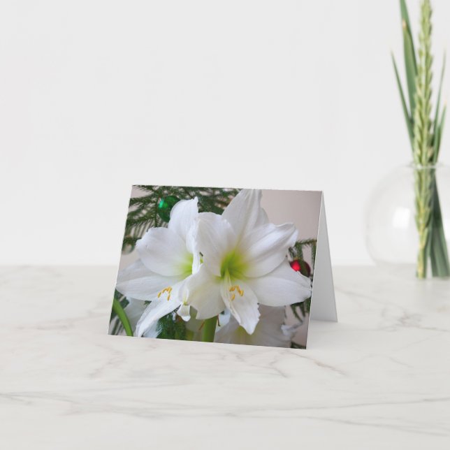 White Amaryllis and Christmas Tree Holiday Card (Front)