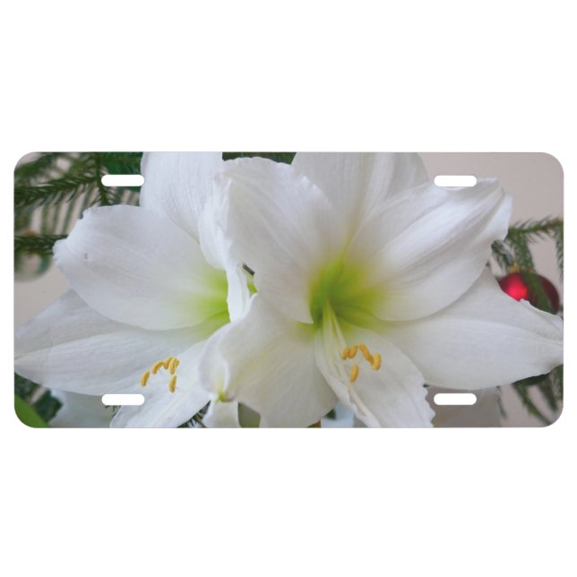White Amaryllis and Christmas Tree License Plate (Front)