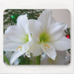 White Amaryllis and Christmas Tree Mouse Pad