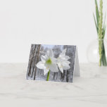 White Amaryllis and Snow I Holiday Card