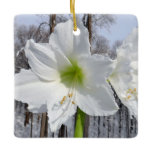 White Amaryllis and Snow II Ceramic Ornament