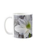 White Amaryllis and Snow II Coffee Mug