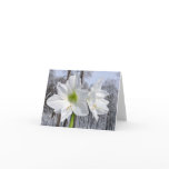 White Amaryllis and Snow II Holiday Card