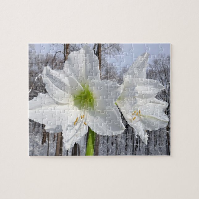 White Amaryllis and Snow II Jigsaw Puzzle (Horizontal)