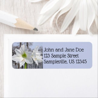 White Amaryllis and Snow II Label
