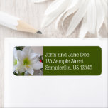 White Amaryllis Holiday Winter Floral Label