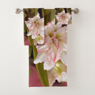 White Amaryllis or double-flowered Hippeastrum