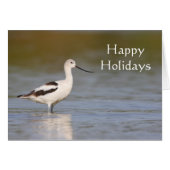 White American Avocet (Front Horizontal)