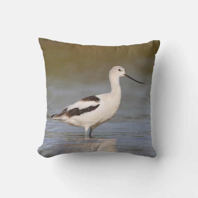 White American Avocet Throw Pillow (Front)