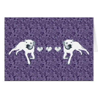 White American Pit Bull with Hearts/purple Cards