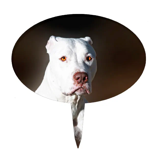 Pitbull cake outlet topper