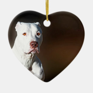 White American Pitbull Terrier Rescue Dog Ceramic Ornament