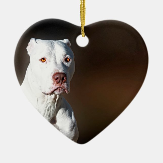 White American Pitbull Terrier Rescue Dog Ceramic Ornament (Front)