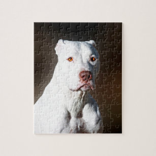 Pitbull, White, Life is Better, White Background (1000 Piece Puzzle, Size  19x27, Challenging Jigsaw Puzzle for Adults and Family, Made in USA) 