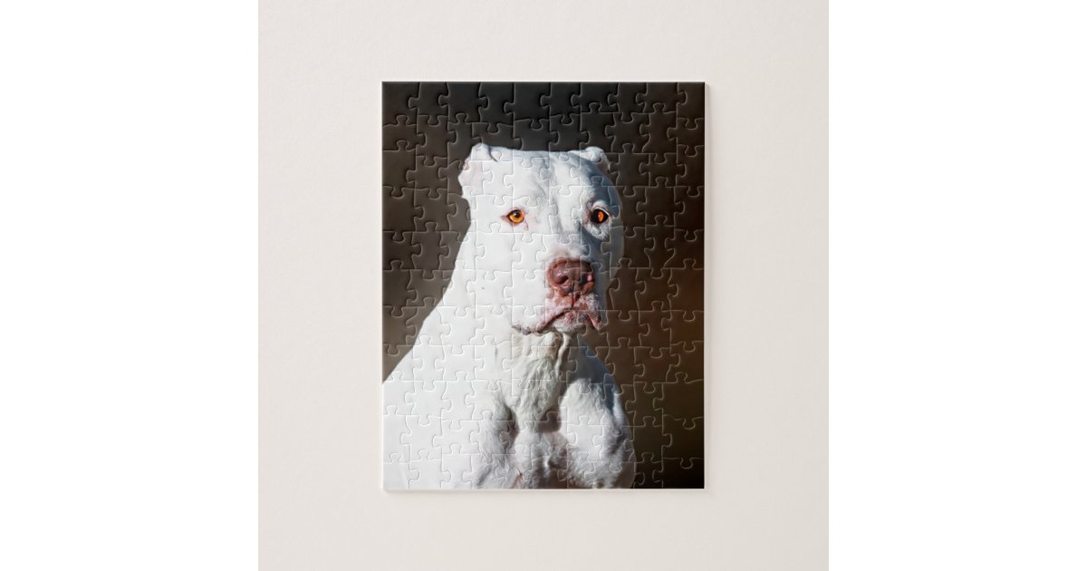 Pitbull Dog - Jigsaw Puzzle