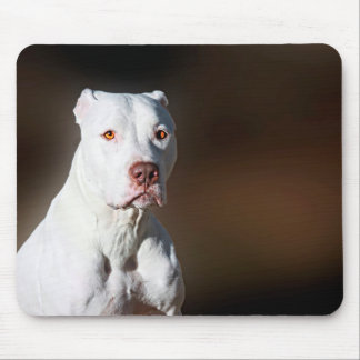 White American Pitbull Terrier Rescue Dog Mouse Pad