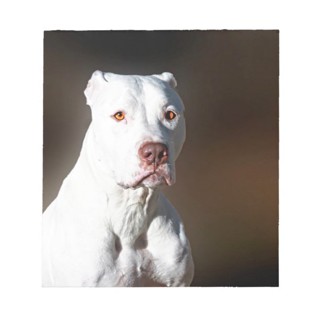 White American Pitbull Terrier Rescue Dog Notepad (Front)