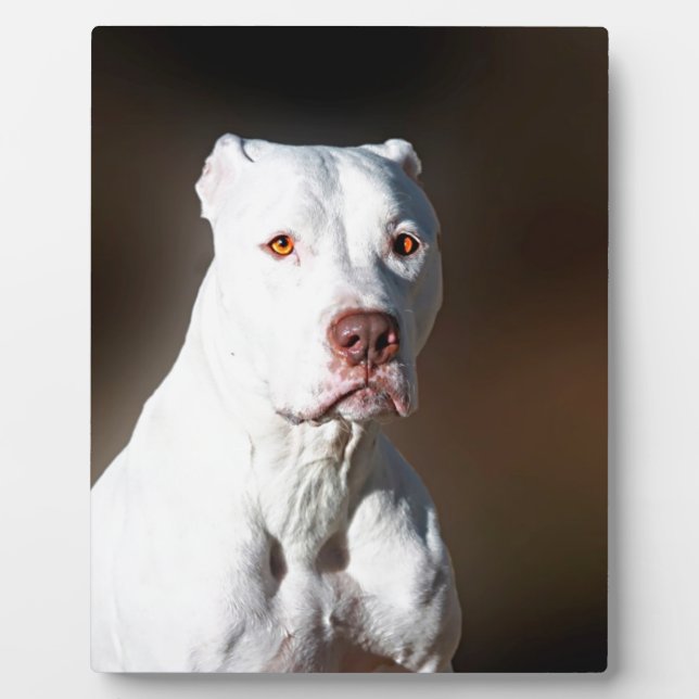 White American Pitbull Terrier Rescue Dog Plaque (Front)