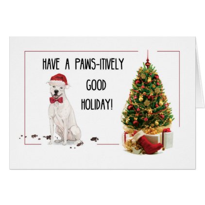 White American Staffordshire Terrier Fun Christmas