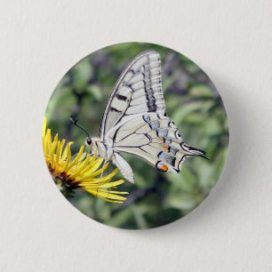 White and Black Butterfly with Red Spots Button