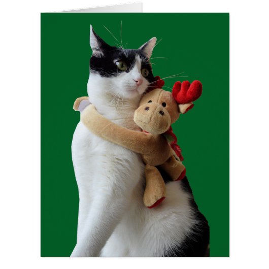 White and Black Cat & Reindeer Christmas Toy Cards (Front)