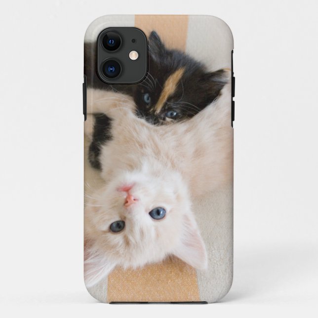 White And Black Kittens Case-Mate iPhone Case (Back)