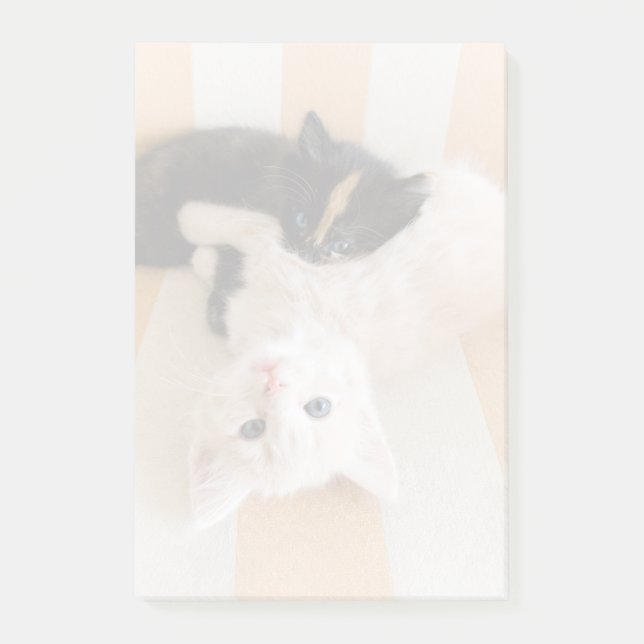 White And Black Kittens Post-it Notes (Front)