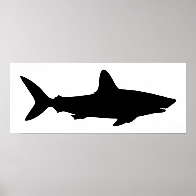 White and Black Shark Poster (Front)