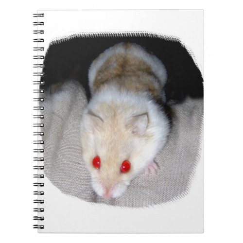 White and blonde albino hamster picture notebook