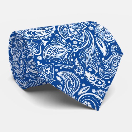 White And Blue Floral Paisley Pattern Neck Tie