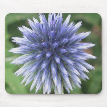 White And Blue Globe Thistle Mousepad by ggbythebay at Zazzle