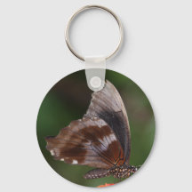 White and Brown Butterfly on Red Flower