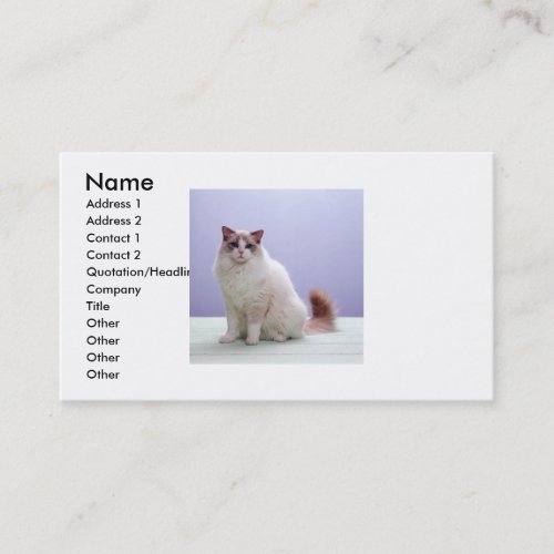 White and Brown Cat Business Card