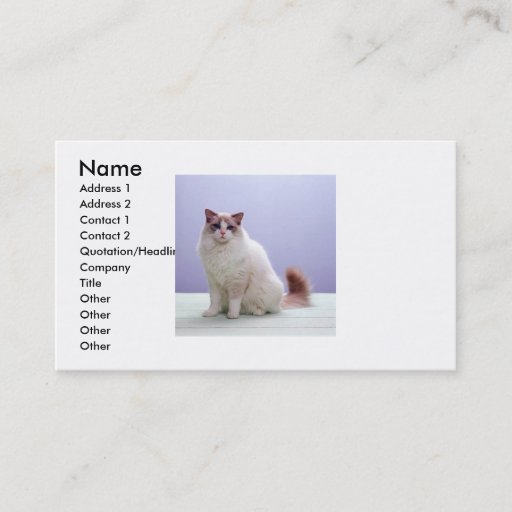 Customizable White and Brown Cat Business Card