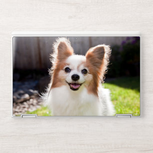 White and Brown Dog Sitting on Grass Happy Outdo HP Laptop Skin