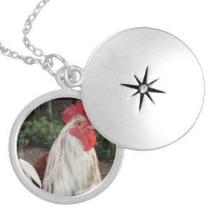 White And Brown Speckled Rooster, Locket Necklace