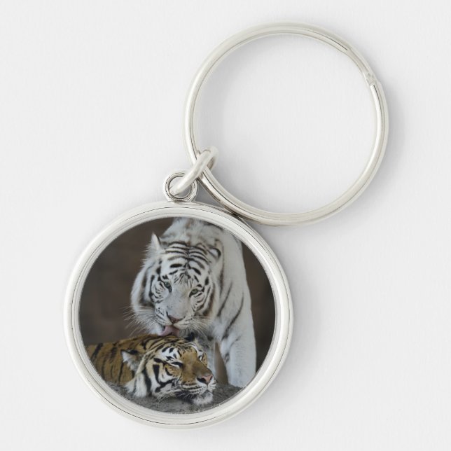 White And Brown Tigers Resting Keychain (Front)